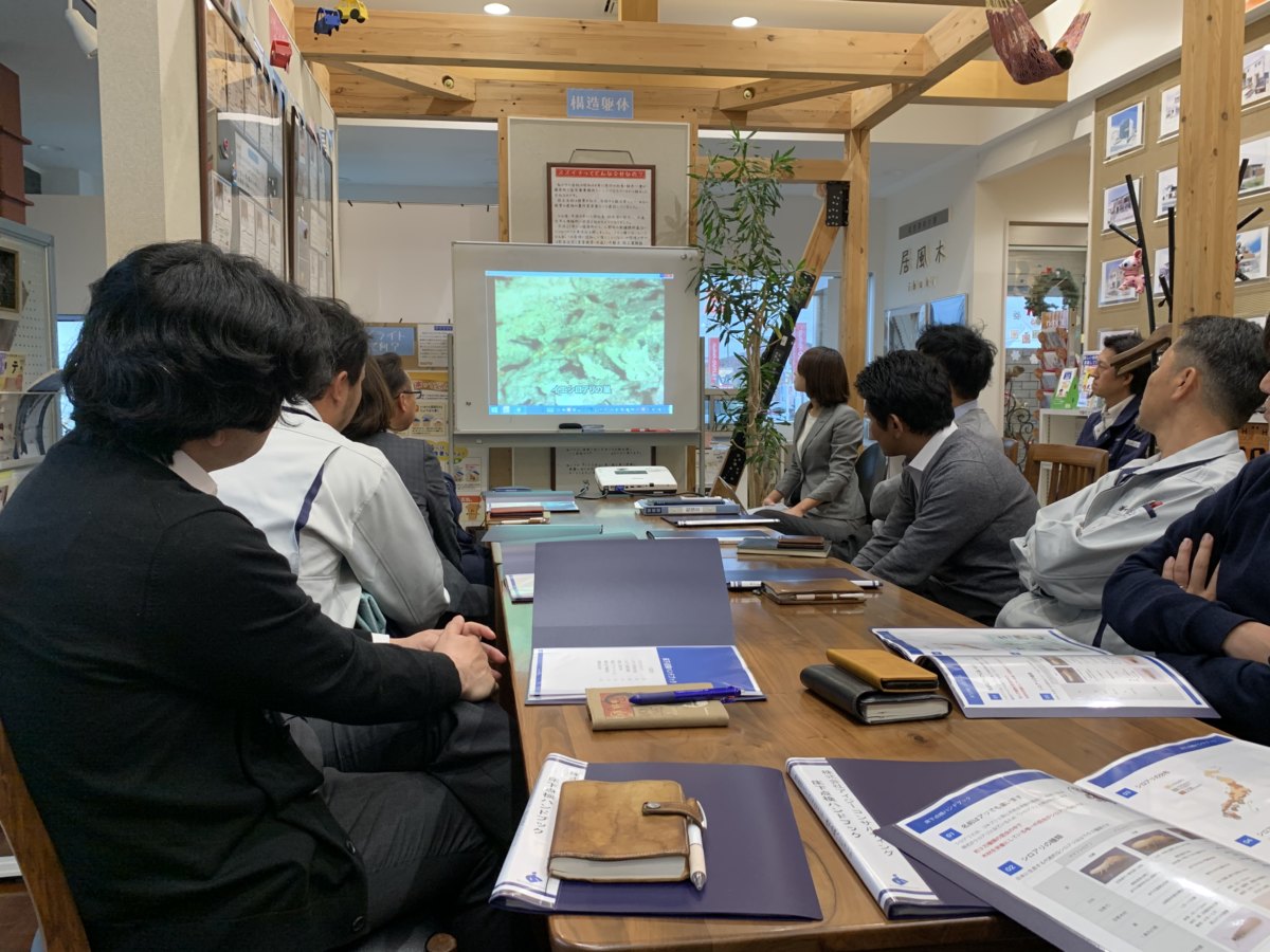 白蟻についての勉強会